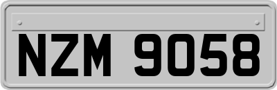 NZM9058