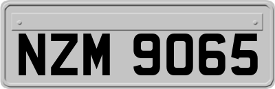NZM9065