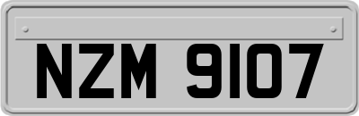 NZM9107
