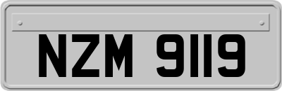NZM9119