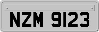 NZM9123