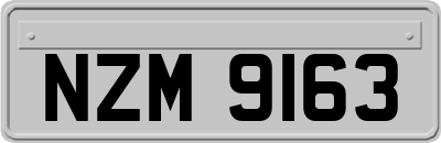 NZM9163