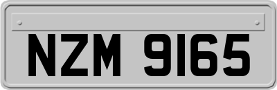 NZM9165