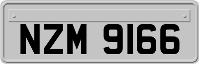 NZM9166