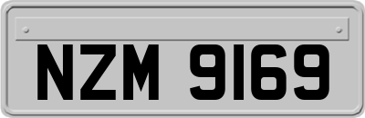 NZM9169