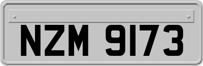 NZM9173