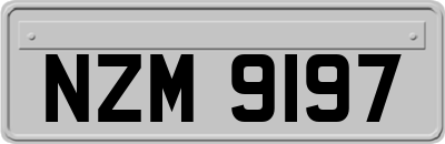 NZM9197