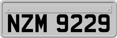 NZM9229