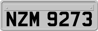 NZM9273