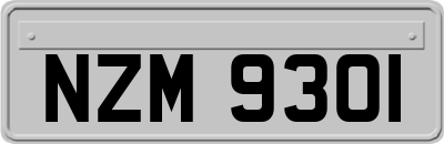 NZM9301