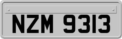 NZM9313