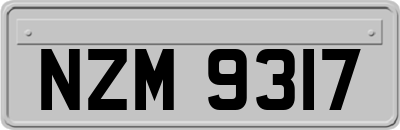 NZM9317