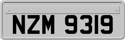 NZM9319