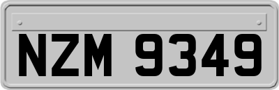 NZM9349