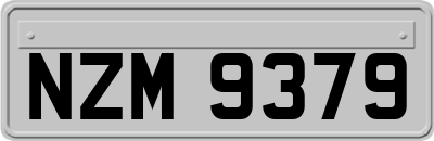 NZM9379