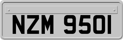 NZM9501