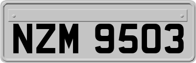 NZM9503