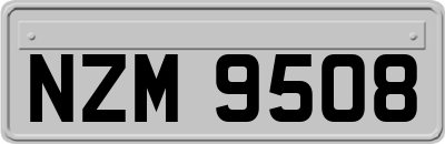 NZM9508