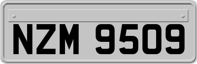 NZM9509