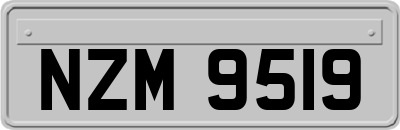 NZM9519
