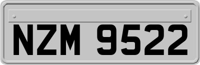 NZM9522