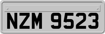 NZM9523