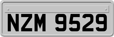 NZM9529