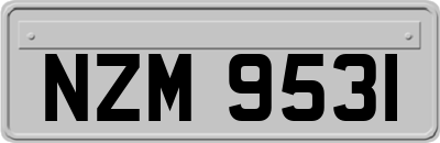 NZM9531