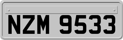 NZM9533