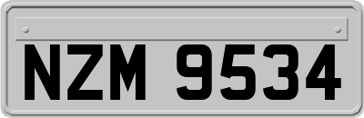 NZM9534