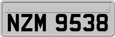 NZM9538