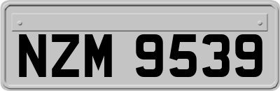 NZM9539