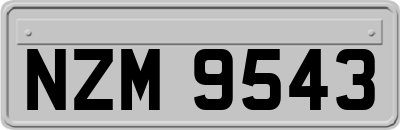 NZM9543