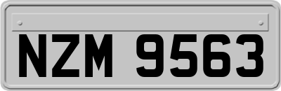 NZM9563