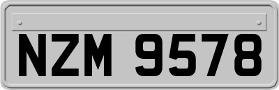 NZM9578