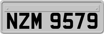 NZM9579