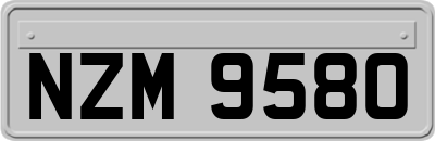 NZM9580