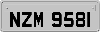 NZM9581