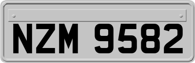 NZM9582