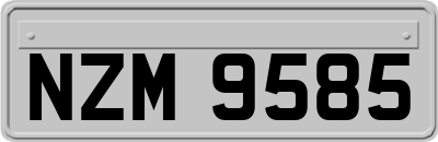 NZM9585