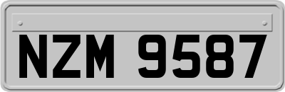 NZM9587
