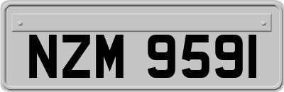 NZM9591