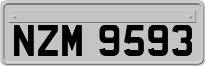 NZM9593
