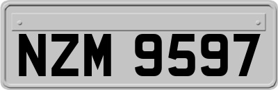 NZM9597