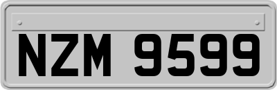 NZM9599