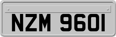 NZM9601