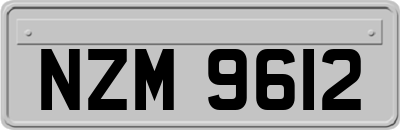 NZM9612