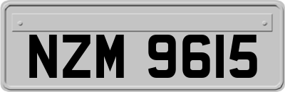 NZM9615