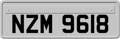 NZM9618