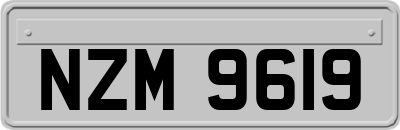 NZM9619